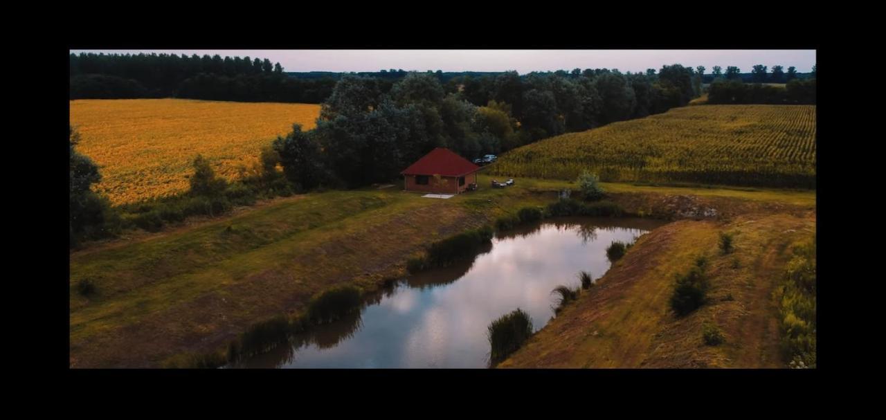 Nowhere Nyirmihalydi Экстерьер фото