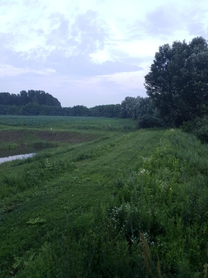 Nowhere Nyirmihalydi Экстерьер фото